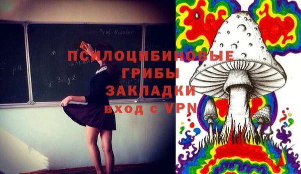 ГАЛЛЮЦИНОГЕННЫЕ ГРИБЫ Баксан