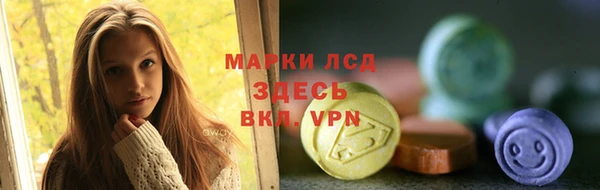 ГАЛЛЮЦИНОГЕННЫЕ ГРИБЫ Баксан