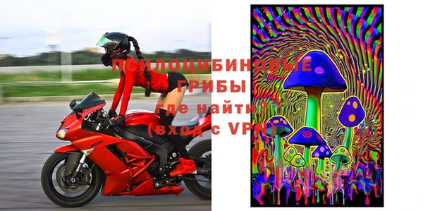 ГАЛЛЮЦИНОГЕННЫЕ ГРИБЫ Баксан