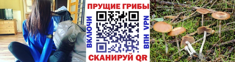 KRAKEN ONION  Фокино  Галлюциногенные грибы MAGIC MUSHROOMS 